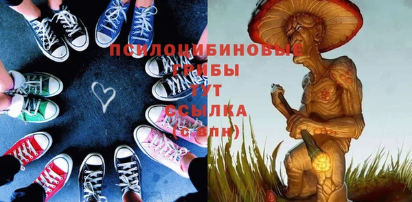 молекула духа Богородск
