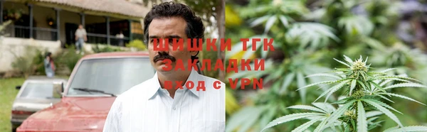 молекула духа Богородск
