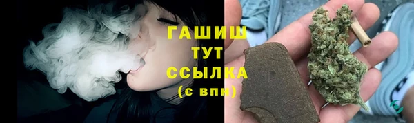 молекула духа Богородск