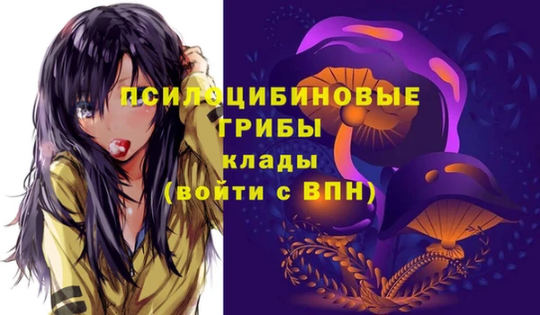 мдпв Губаха