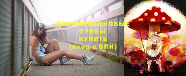 прущие грибы Грязовец